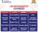 LMI Mathematics courses